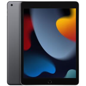 Tablet APPLE iPad 10.2 9 gen. 64GB Wi-Fi Gwiezdna szarość